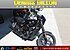2015 Harley-Davidson Street 500 for sale 200655218